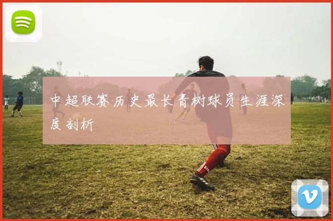 中超联赛历史最长青树球员生涯深度剖析